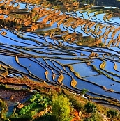 撒他风光